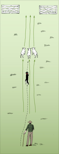 Straight hunt 