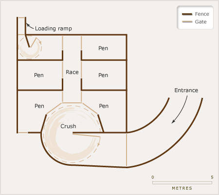 Plan of deer yards 