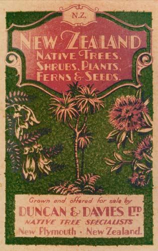 Nursery catalogue