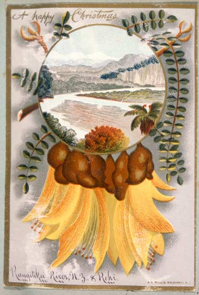 Kōwhai Christmas card