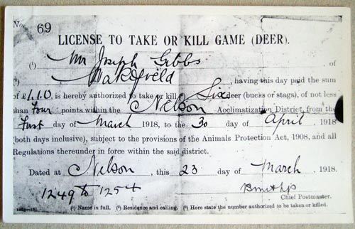 Licensed to kill 