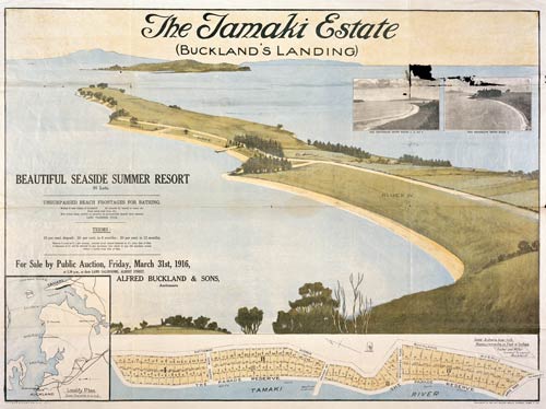 The Tāmaki estate