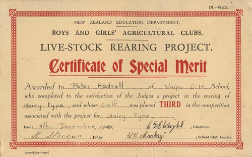 Certificate of special merit 