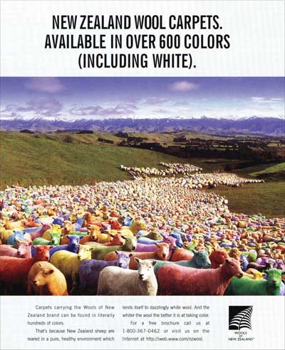 Using New Zealand wool – carpets