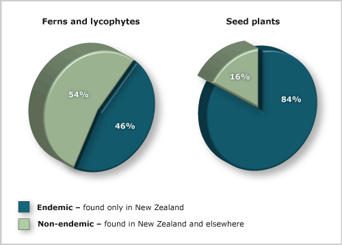 Endemic and introduced ferns, lycophytes and seed plants