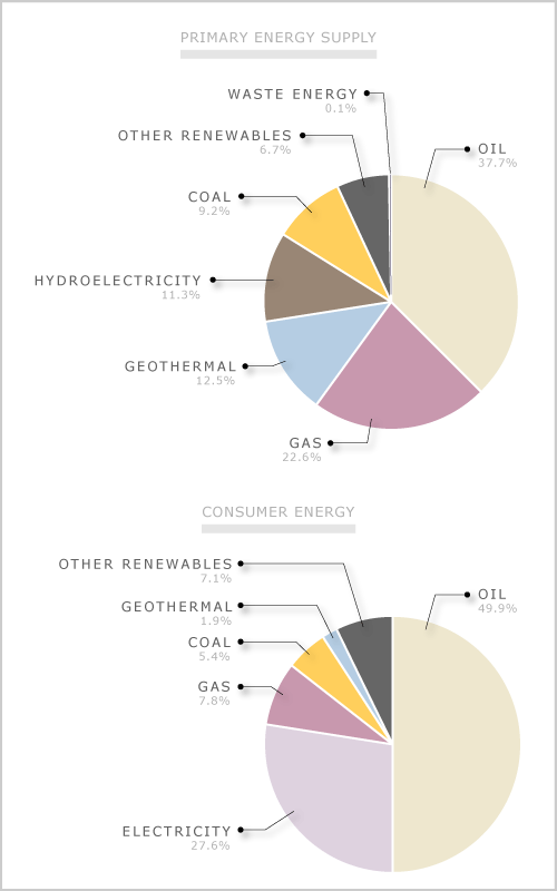 Primary energy and consumer energy, 2007