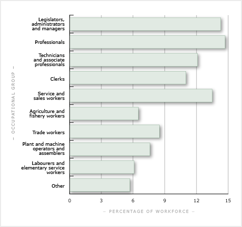 Occupational groups, 2013