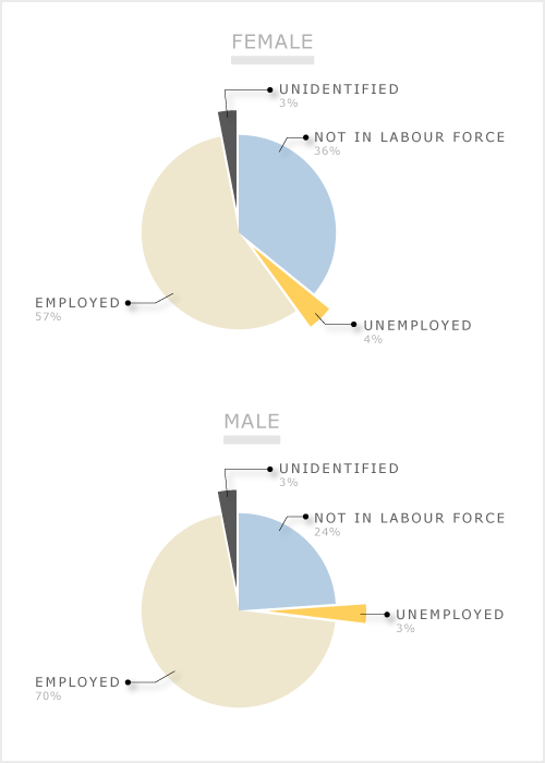 Male and female workforce, 2006