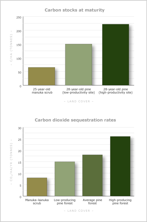 Carbon sinks