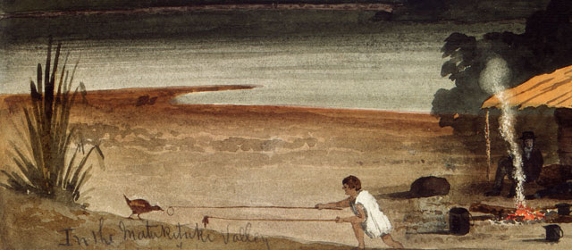 Catching a weka