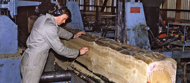 A sawing study of an unpruned log