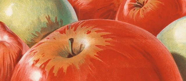 1930s apple poster