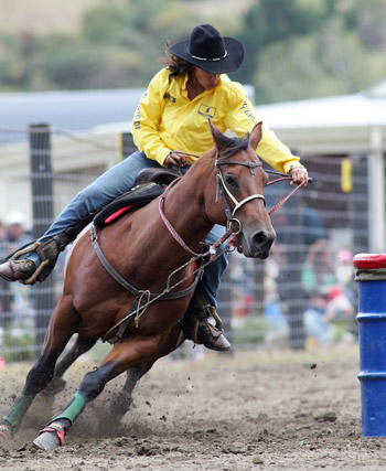 The barrel race