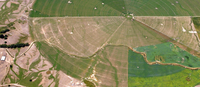 Irrigated fields