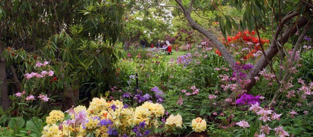 Glenfalloch garden, Otago