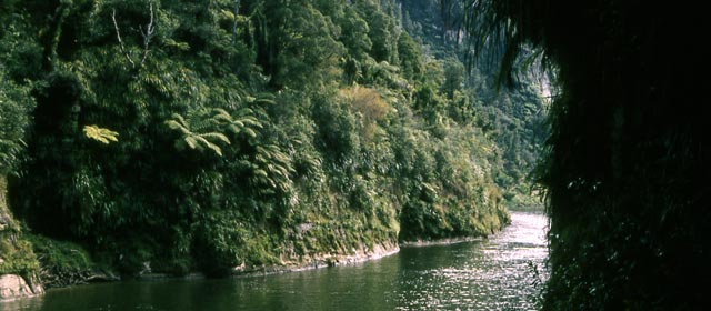 The Whanganui River