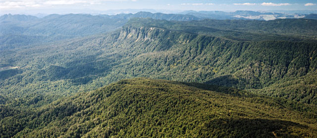 Maungapōhatu, Urewera