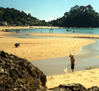 Kaiteriteri beach