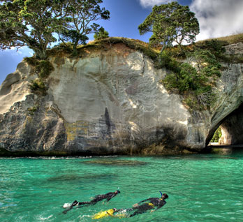 Cathedral Cove