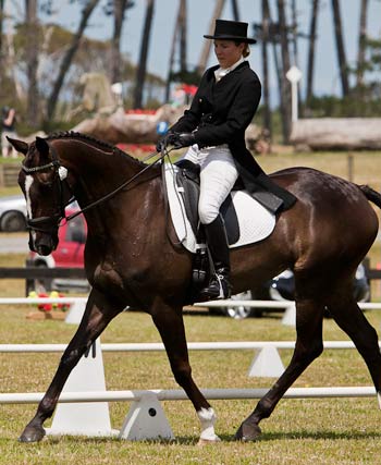 Christen Hayde on Tandarra Sweet As performing dressage, December 2011