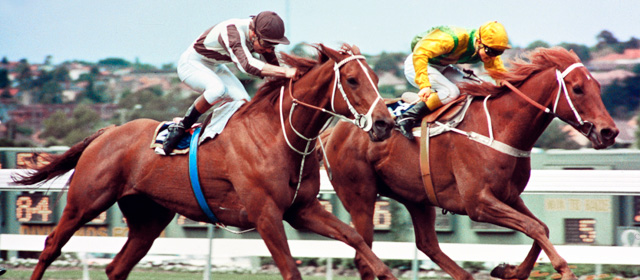 Bonecrusher (left) edges out Our Waverley Star to win the 1986 W. S. Cox Plate
