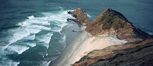 Cape Rēinga