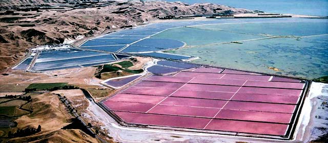 Crystallisation ponds at Lake Grassmere