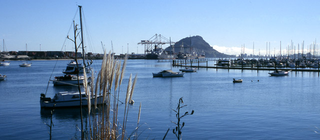 Tauranga on a fine day