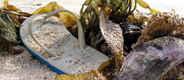 Jandal on the beach