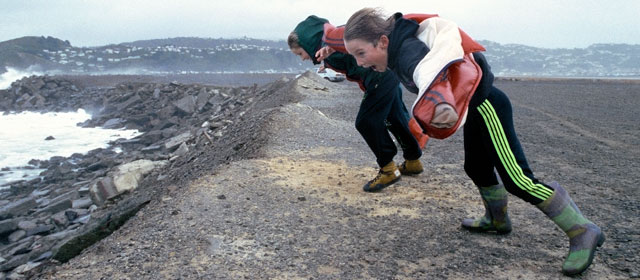 Battling Wellington’s wind