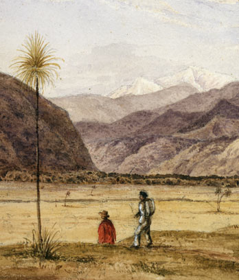 Exploring party in the Wairarapa