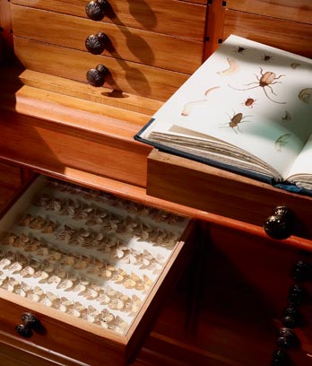 Hudson Collection