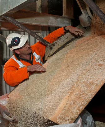 Bagging granulated superphosphate