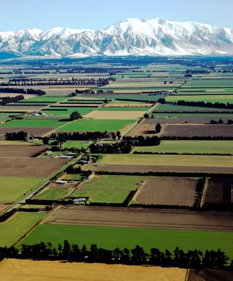 The Canterbury Plains