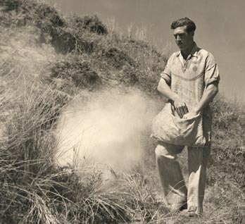 Spreading fertiliser by hand