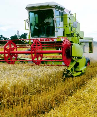 Combine harvester at work