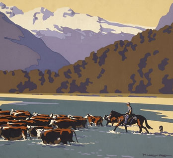The annual South Westland cattle muster