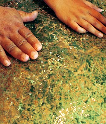 Pounamu touchstone at the national museum, Te Papa Tongarewa