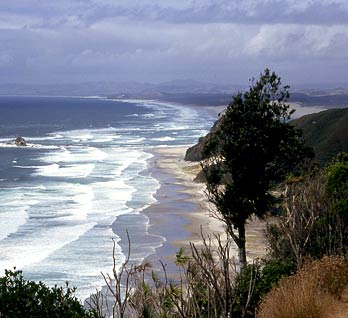 Mangawhai, Northland