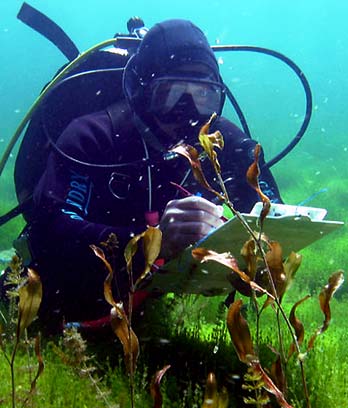 Scuba diving for scientific investigation