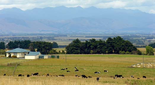 Manawatū farmland and the Tararua Range