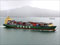 A Chinese container ship passes Rangitoto