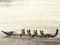 Canoes in Auckland Harbour, 1853