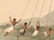 People swing on a moari