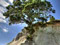 Cathedral Cove