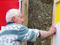 Party volunteers putting up election signs, 2008