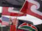 Māori flags at Waitangi Day, 2008