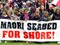 Foreshore and seabed hīkoi arrives at Parliament, 2011