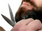 Competitive beard-growers Jeremy Mayall and Jason Hanson, 2010