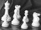 Arcadios Feneridis, probably at the 1957 New Zealand chess championships in Wellington